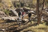 Another stream crossing, Arnett Canyon Trail: by graynomadsusa, Views[366]
