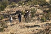 Near trail's end, Arnett Canyon: by graynomadsusa, Views[398]