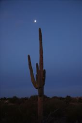 Solstice Moonset, Gold Canyon: by graynomadsusa, Views[311]