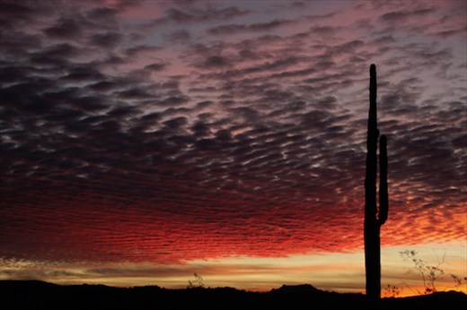 Solstice Sunrise, Gold Canyon