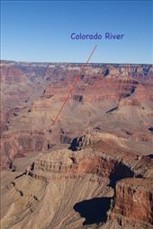 The Colorado River from South Rim Trail: by graynomadsusa, Views[286]