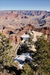 Grand Canyon from South Rim Trail: by graynomadsusa, Views[276]