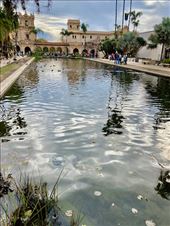 Alcazar Garden, Balboa Park: by graynomadsusa, Views[233]