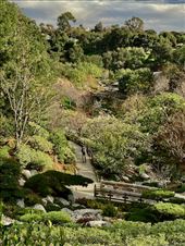 Japanese Garden, Balboa Park: by graynomadsusa, Views[279]
