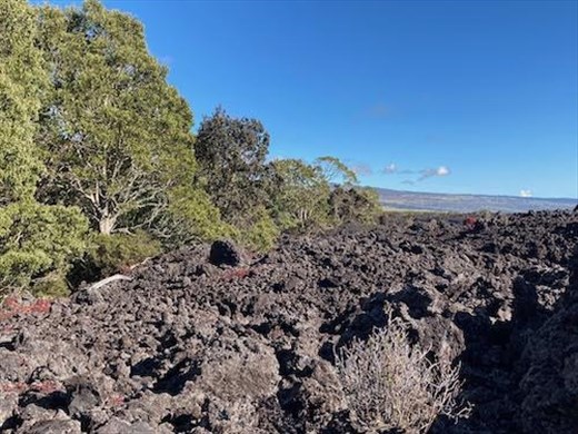 Lava field and 