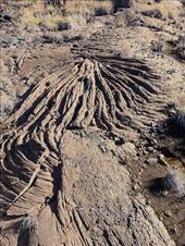 Pahoehoe lava, Volcanoes National Park: by graynomadsusa, Views[223]