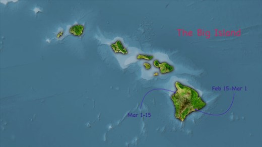 Hawaii Bound—the Big Island