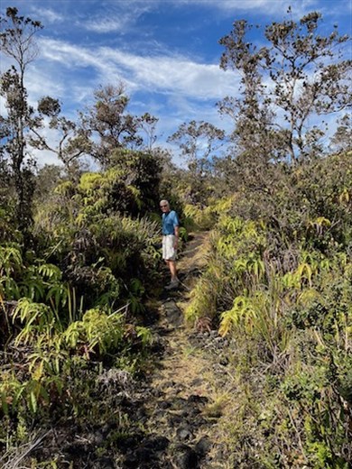 Birding in Hawai'i Volcanoes National Park
