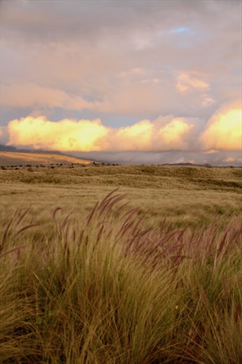 Clouds at Sunset, Saddle Road