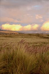 Clouds at Sunset, Saddle Road: by graynomadsusa, Views[294]