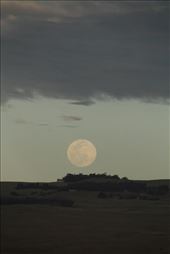 Moonrise, Island of Hawaii: by graynomadsusa, Views[266]