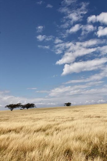 Easy to tell which way the wind blows, South Point