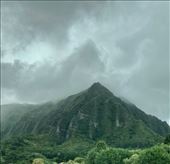 Lush and rainy, Windward Oahu: by graynomadsusa, Views[351]