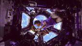ISS cupola, virtually: by graynomadsusa, Views[274]