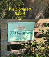 Sabine Woods, a haven for birds—and mosquitoes!: by graynomadsusa, Views[834]