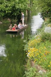 Punting on the River Stour, Canterbury: by graynomadsusa, Views[268]