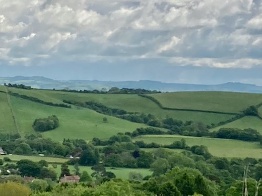 Devon countryside