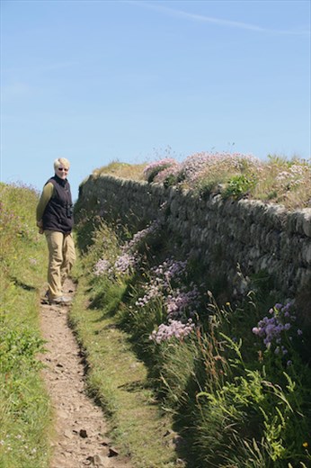 Trail to the top, Cape Cornwall