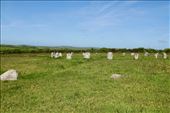 Merry Maidens Stone Circle, Boleigh: by graynomadsusa, Views[313]
