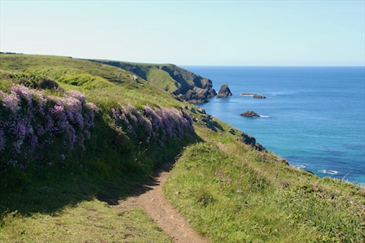 National Trust Predannack Trail