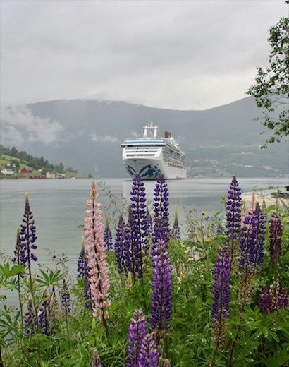 Island Princess at anchor, Olden
