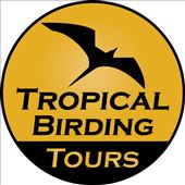 Our first trip with Tropical Birding: by graynomadsusa, Views[753]