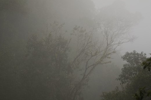 Not much to see when the clouds roll in—Itatiaia NP