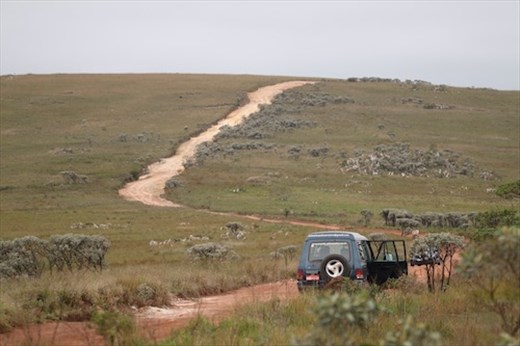 Joa's 4X4, Serra Cańastra