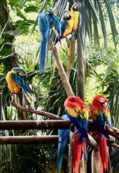 A colorful welcome back to Cartagena : by graynomadsusa, Views[238]
