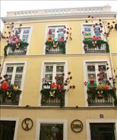 Dressed for the Holidays, Orotava: by graynomadsusa, Views[327]