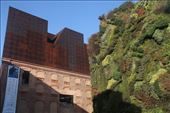 Caixa Forum and vertical garden: by graynomadsusa, Views[252]