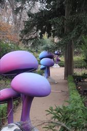 Magic mushrooms, Real Jardin Botanico: by graynomadsusa, Views[461]