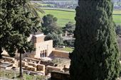 Medina Azahara from above: by graynomadsusa, Views[275]