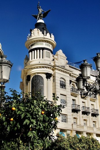 And oranges everywhere! Plaza de Tendillas