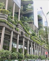 Buildings disguised as gardens: by graynomadsusa, Views[266]