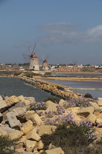 It isn't Holland but it's still picturesque