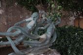 Statue at Fountain of Arethusa, Old Town Ortigia: by graynomadsusa, Views[290]