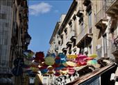 Every city has an Umbrella Sky Project, even Catania: by graynomadsusa, Views[272]
