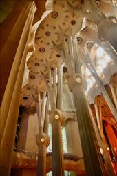 Columns tower 45 meters high, Sagrada Familia: by graynomadsusa, Views[231]