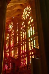Stained Glass from floor to ceiling, Sagrada Familia: by graynomadsusa, Views[283]