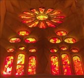 Stained Glass Rosette, Sagrada Familia: by graynomadsusa, Views[279]