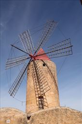 Windmill for grinding, Algaida: by graynomadsusa, Views[276]