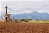 Guts but no blades, water pumping windmill, Muro Valley: by graynomadsusa, Views[246]