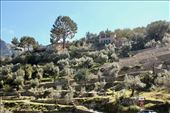 Serra de Tramuntana World Heritage Site: by graynomadsusa, Views[244]