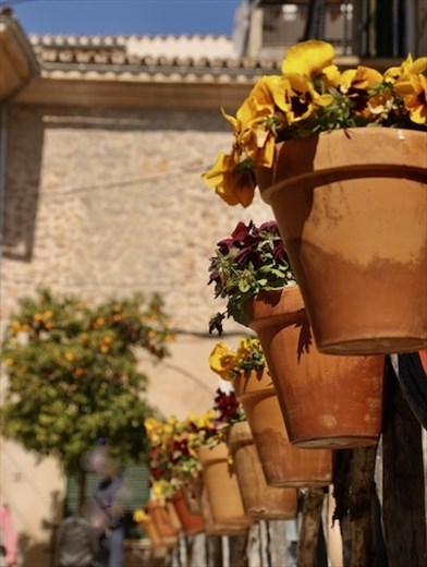 Flowerpots, Valldemossa