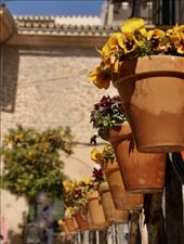 Flowerpots, Valldemossa: by graynomadsusa, Views[749]