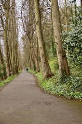 Riverwalk Trail, Durham: by graynomadsusa, Views[268]