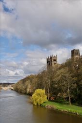 Weeping Willow and Durham Cathedral: by graynomadsusa, Views[535]
