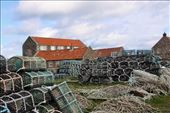 Crabbing is still important in Lindisfarne: by graynomadsusa, Views[243]