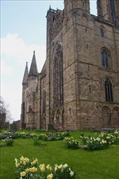 Cathedral Church of Christ, Blessed Mary the Virgin and St Cuthbert of Durham: by graynomadsusa, Views[246]